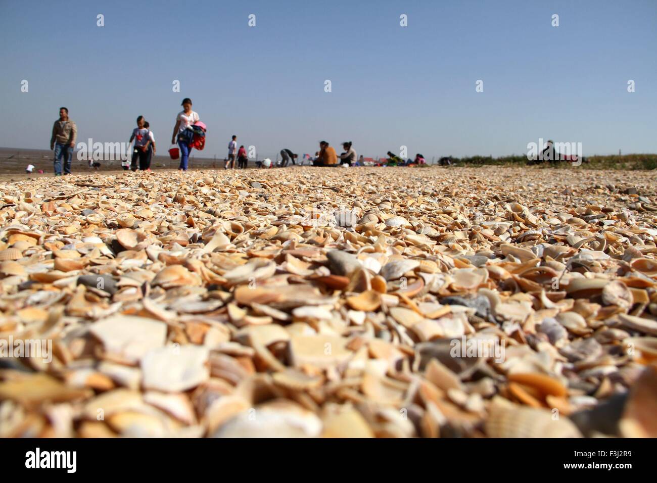 Binzhou, Shandong, CHN. 2. Oktober 2015. Binzhou, CHINA - 2. Oktober 2015: (Nur zur redaktionellen Verwendung. CHINA aus) Shell Damm in Wudi Grafschaft von Binzhou Shandong gilt als eines der drei alten Dämme mit Shell Damm in Louisiana und Shell Dämme in Surinam. Es ist über 5000 Jahre alt und 30 Kilometer lang, und es wächst immer noch in der Geschwindigkeit von 0,1 Millionen Tonnen jährlich. © SIPA Asien/ZUMA Draht/Alamy Live-Nachrichten Stockfoto