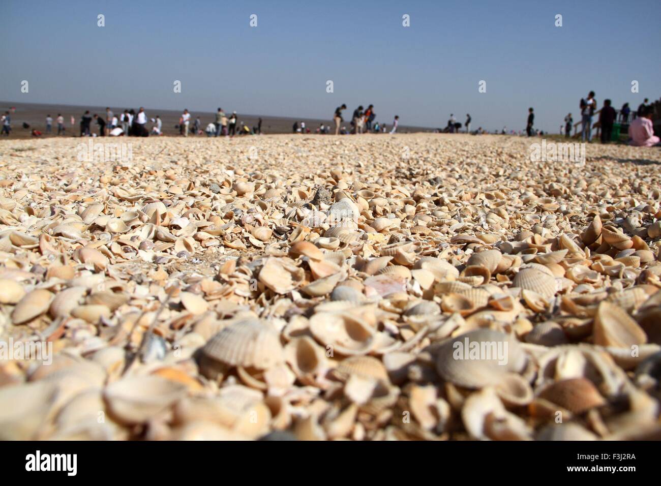 Binzhou, Shandong, CHN. 2. Oktober 2015. Binzhou, CHINA - 2. Oktober 2015: (Nur zur redaktionellen Verwendung. CHINA aus) Shell Damm in Wudi Grafschaft von Binzhou Shandong gilt als eines der drei alten Dämme mit Shell Damm in Louisiana und Shell Dämme in Surinam. Es ist über 5000 Jahre alt und 30 Kilometer lang, und es wächst immer noch in der Geschwindigkeit von 0,1 Millionen Tonnen jährlich. © SIPA Asien/ZUMA Draht/Alamy Live-Nachrichten Stockfoto