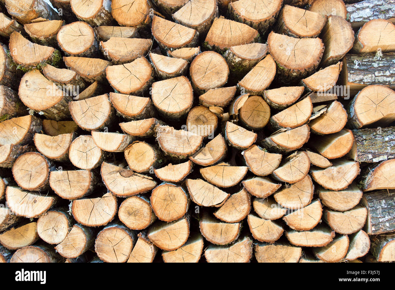 Haufen Brennholz Protokolle. Stapel von Holz für den winter Stockfoto
