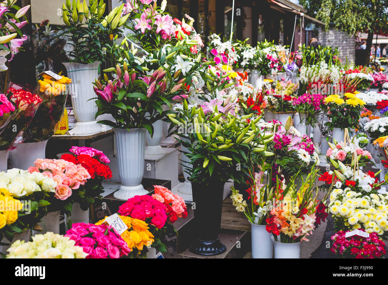 Blumenmarkt in Riga, Lettland Stockfoto