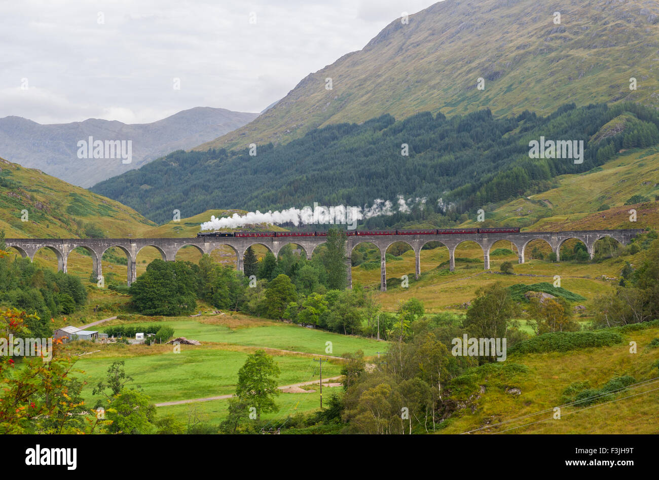 Harry Potter Dampfzug auf dem Glenfinnan-Viadukt in Schottland. Stockfoto