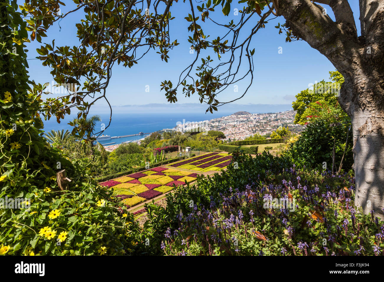 Berühmte Tropical Botanical Gardens in Funchal Stadt, Insel Madeira, Portugal Stockfoto