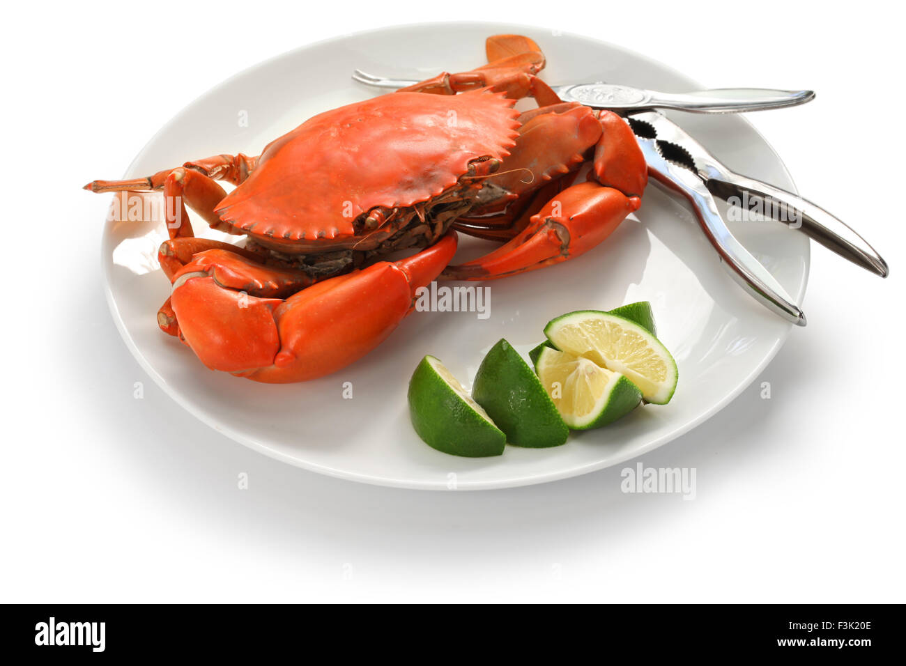 gedämpfte Schlamm Krabben isoliert auf weißem Hintergrund Stockfoto