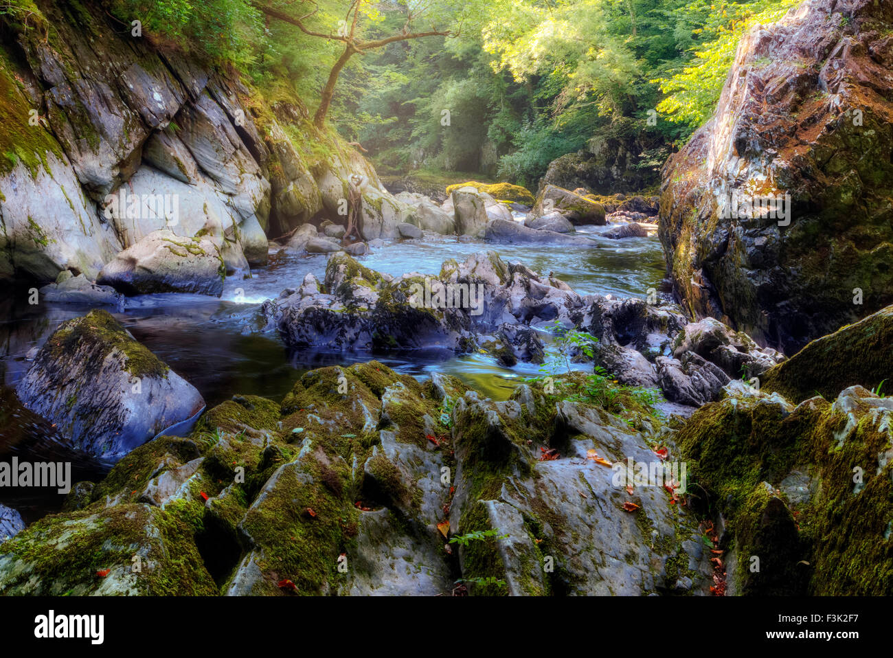 Fairy Glen, Betws-y-Coed, Wales, Vereinigtes Königreich Stockfoto