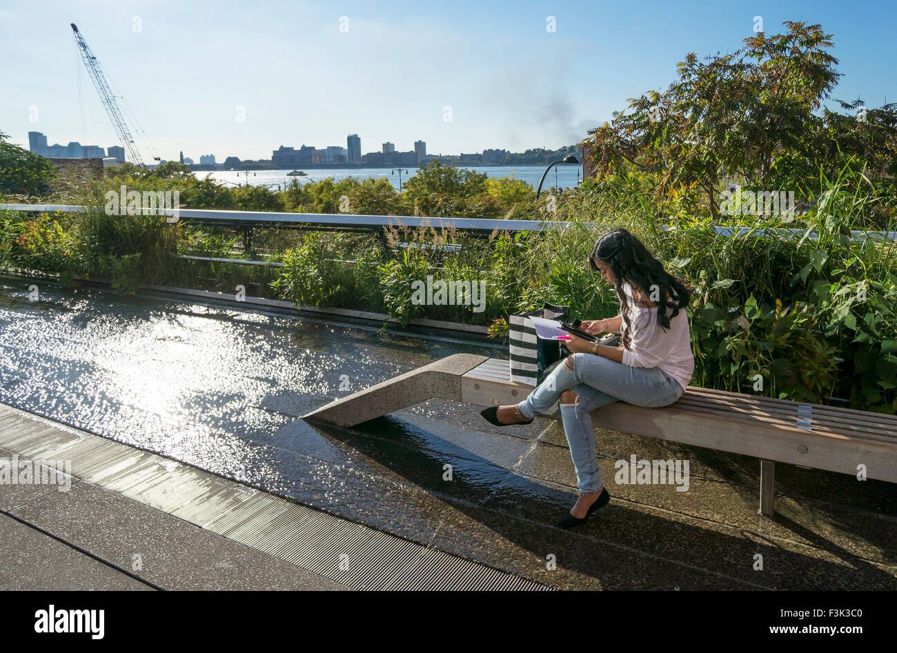 Junge Frau arbeitet, sitzt auf einer Holzbank auf der High Line in New York City Stockfoto