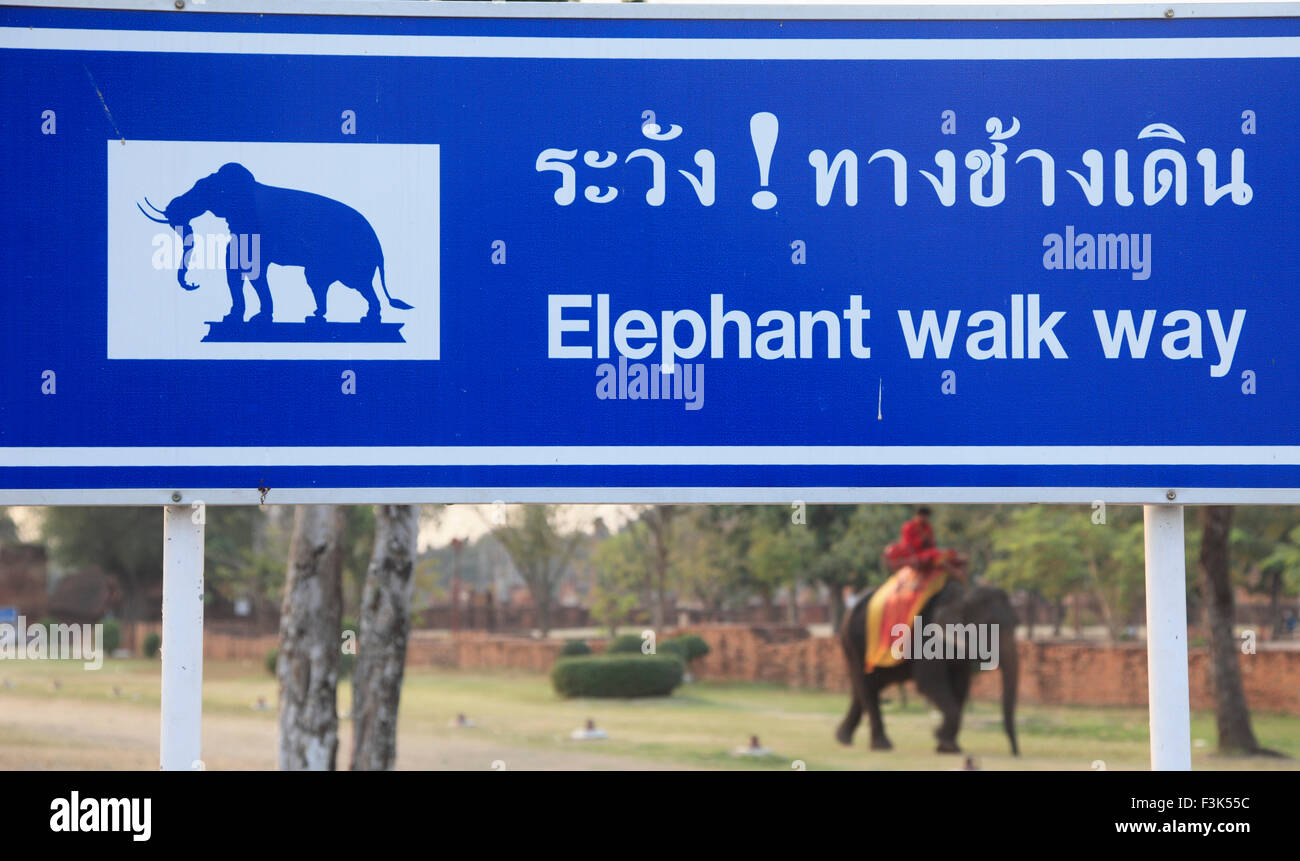 Thailand, Ayutthaya, Elefanten Spaziergang Wege-Schild, Stockfoto