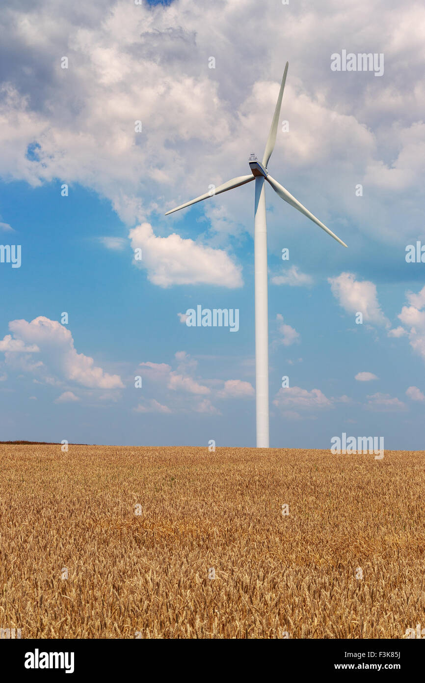 Generatoren von Windkraftanlagen auf Weizenfeld in Rumänien Stockfoto