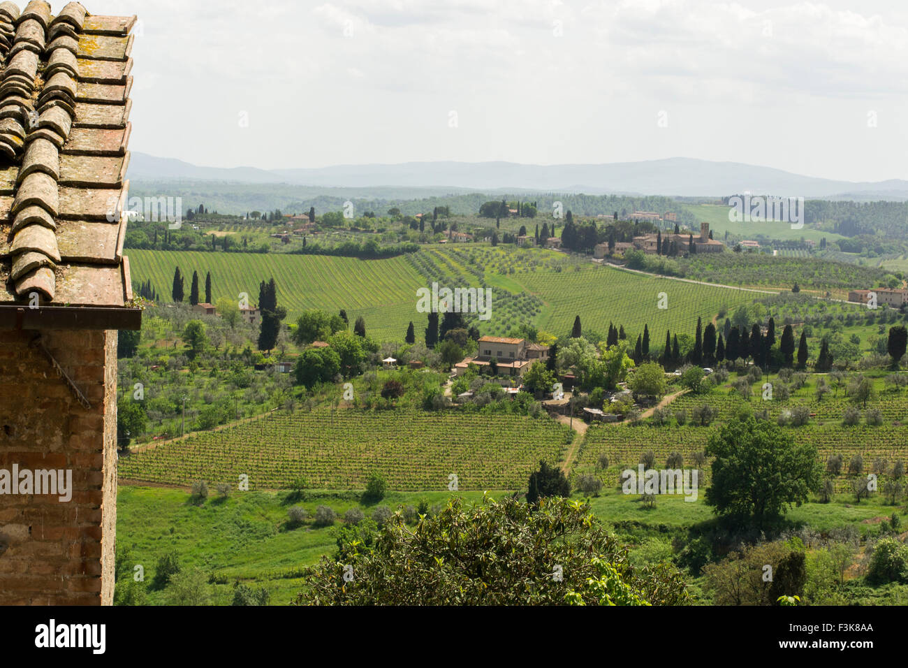 San Gimignano. Weinberge der Toskana Stockfoto