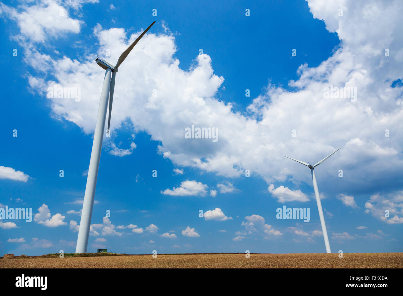 Generatoren von Windkraftanlagen auf Weizenfeld in Rumänien Stockfoto