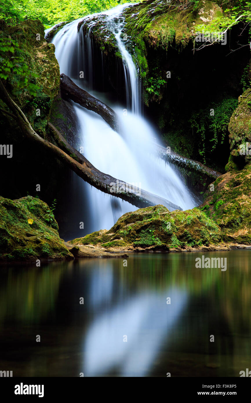 Cascada La Vaioaga in Cheile Nerei National park - Rumänien Stockfoto