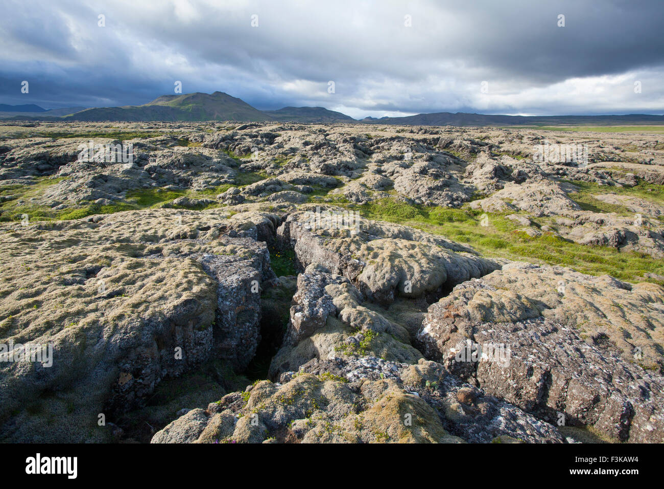 Moosbewachsenen Lavafeldes in der Nähe von Hveragerdi, Sudherland, Island. Stockfoto