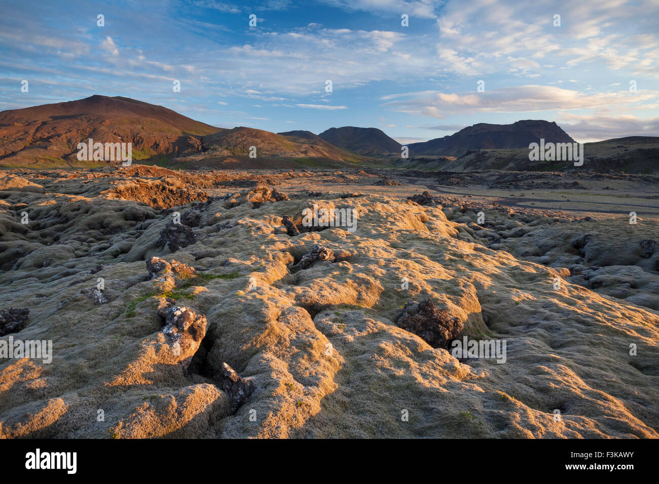 Abendlicht auf einem moosbedeckten Lavafeld nahe Hveragerdi, Sudherland, Island. Stockfoto