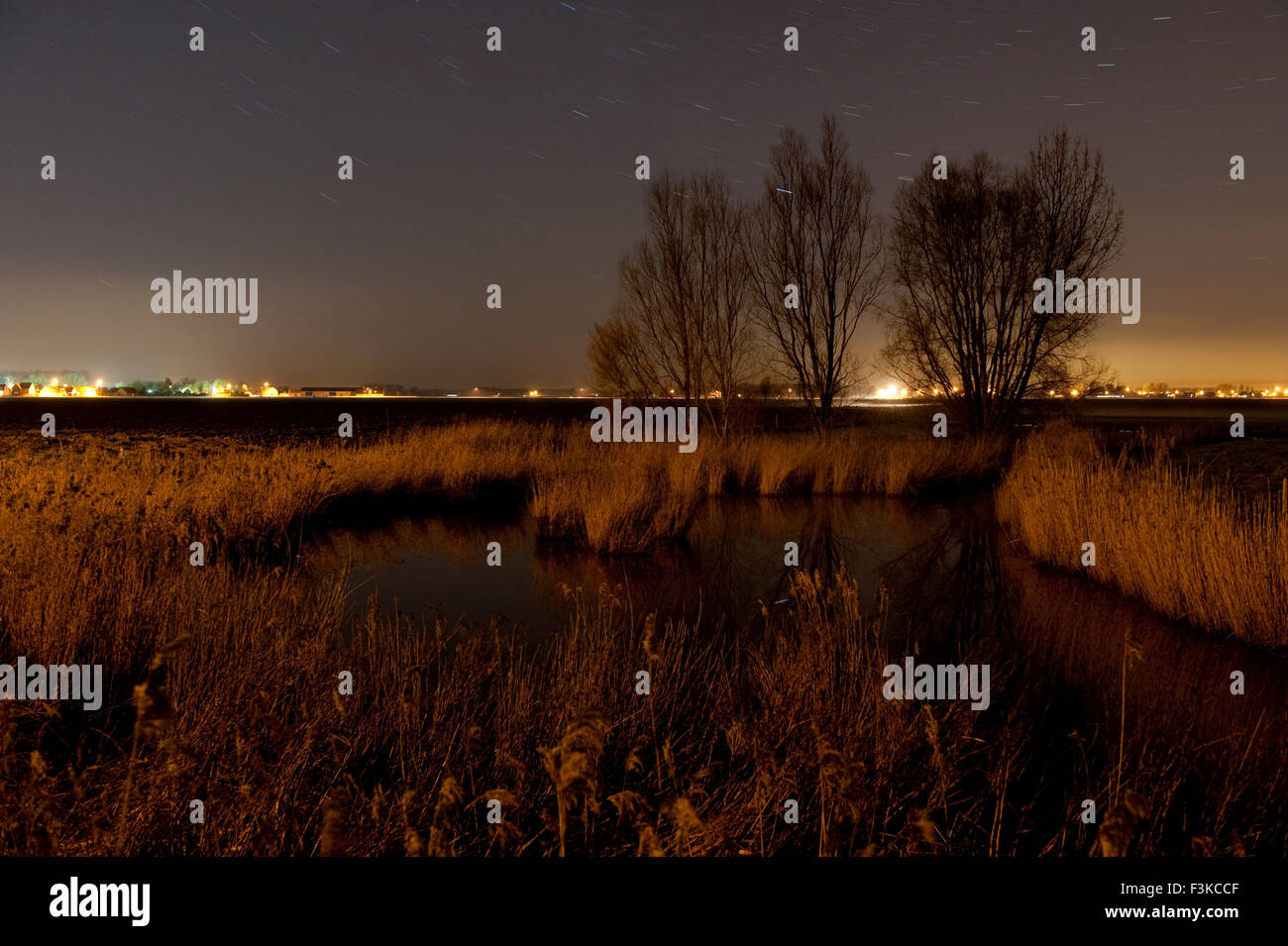 Nächtliche Landschaft im Meetjesland Stockfoto