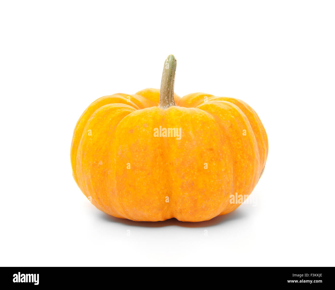 Feine Kürbis angebaut. Alle auf weißem Hintergrund Stockfoto