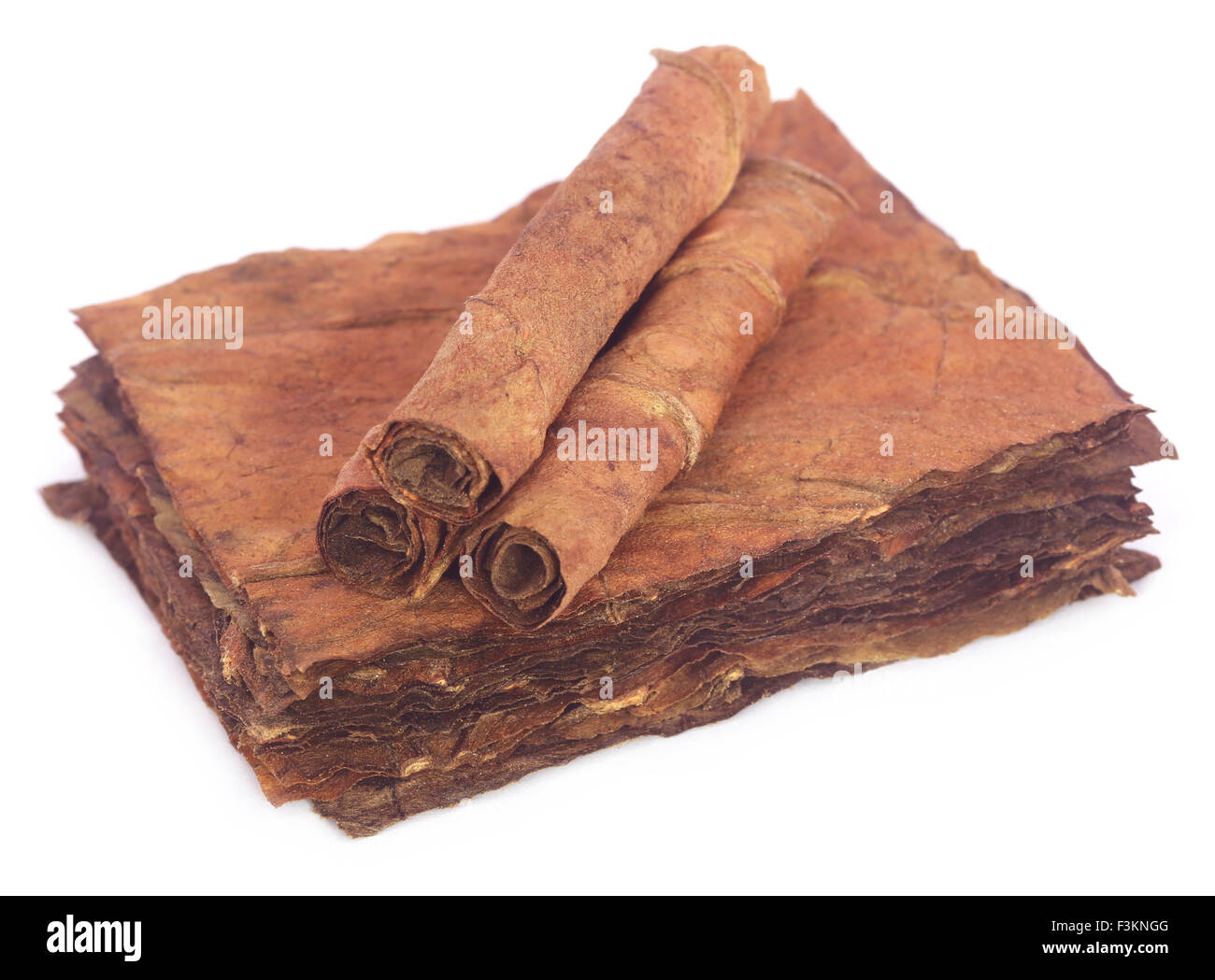 Trockene Tabakblätter auf weißem Hintergrund Stockfoto