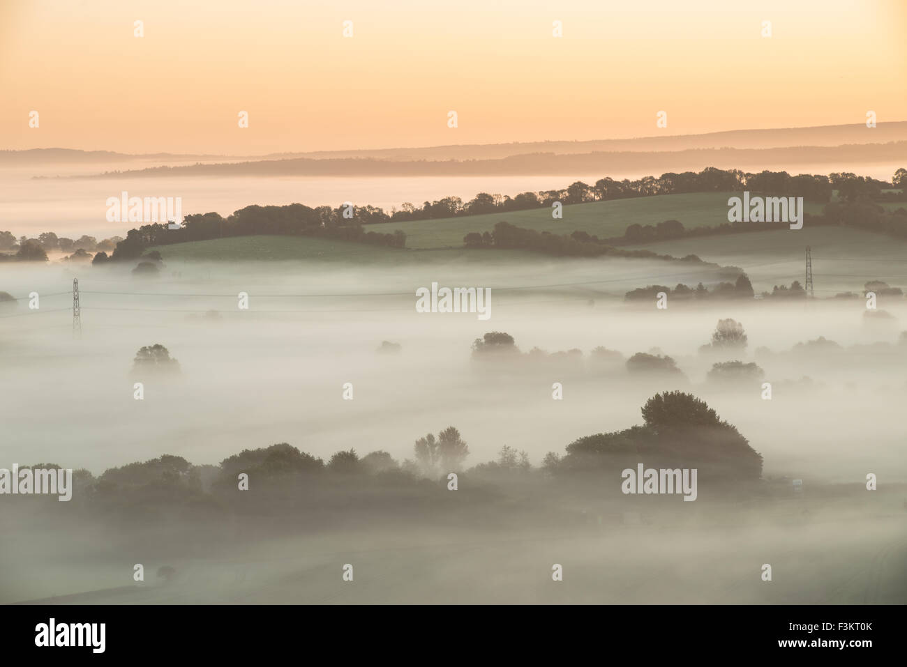 Misty Sunrise in der South Downs National Park Stockfoto