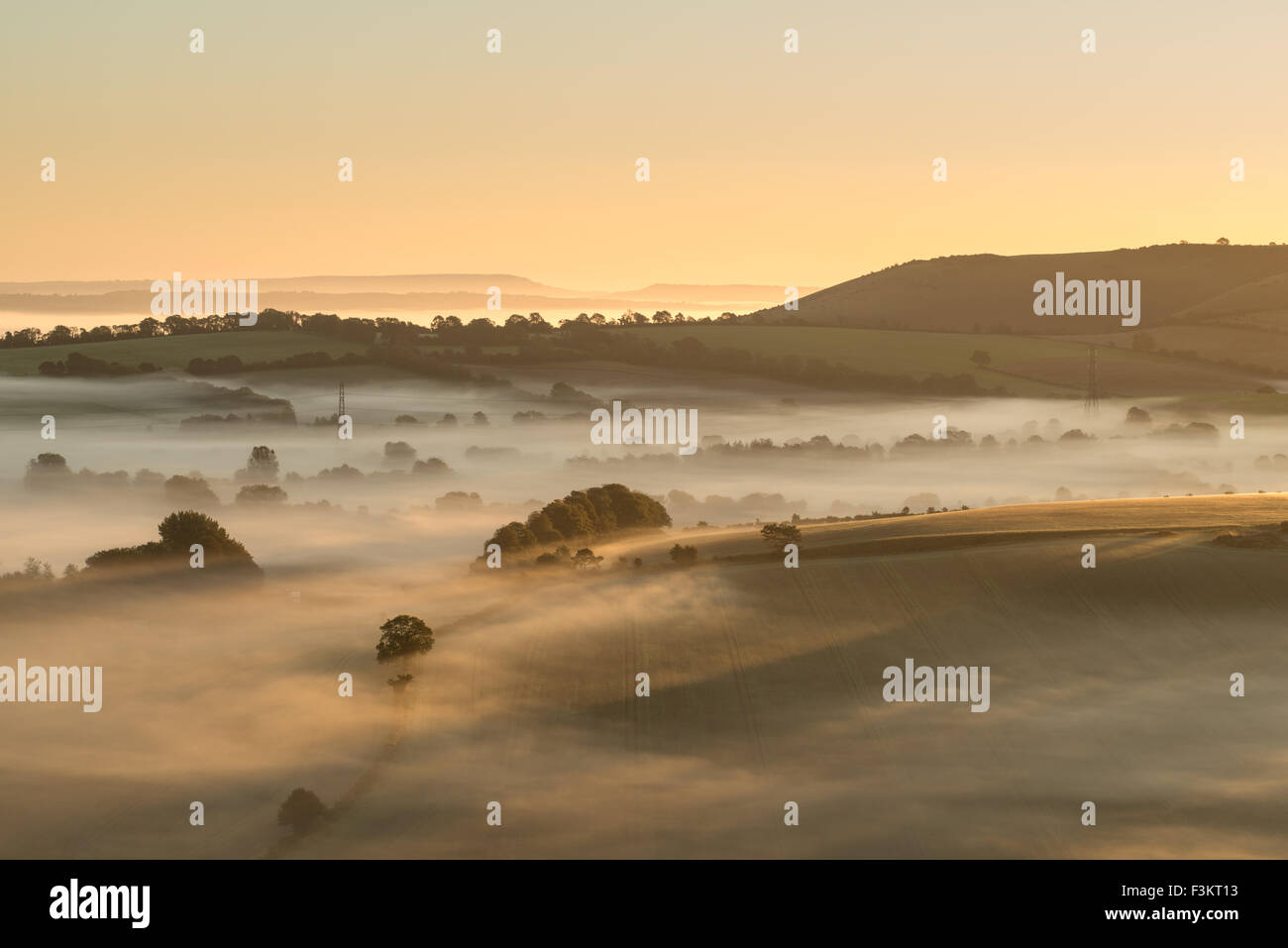 Misty Sunrise in der South Downs National Park Stockfoto