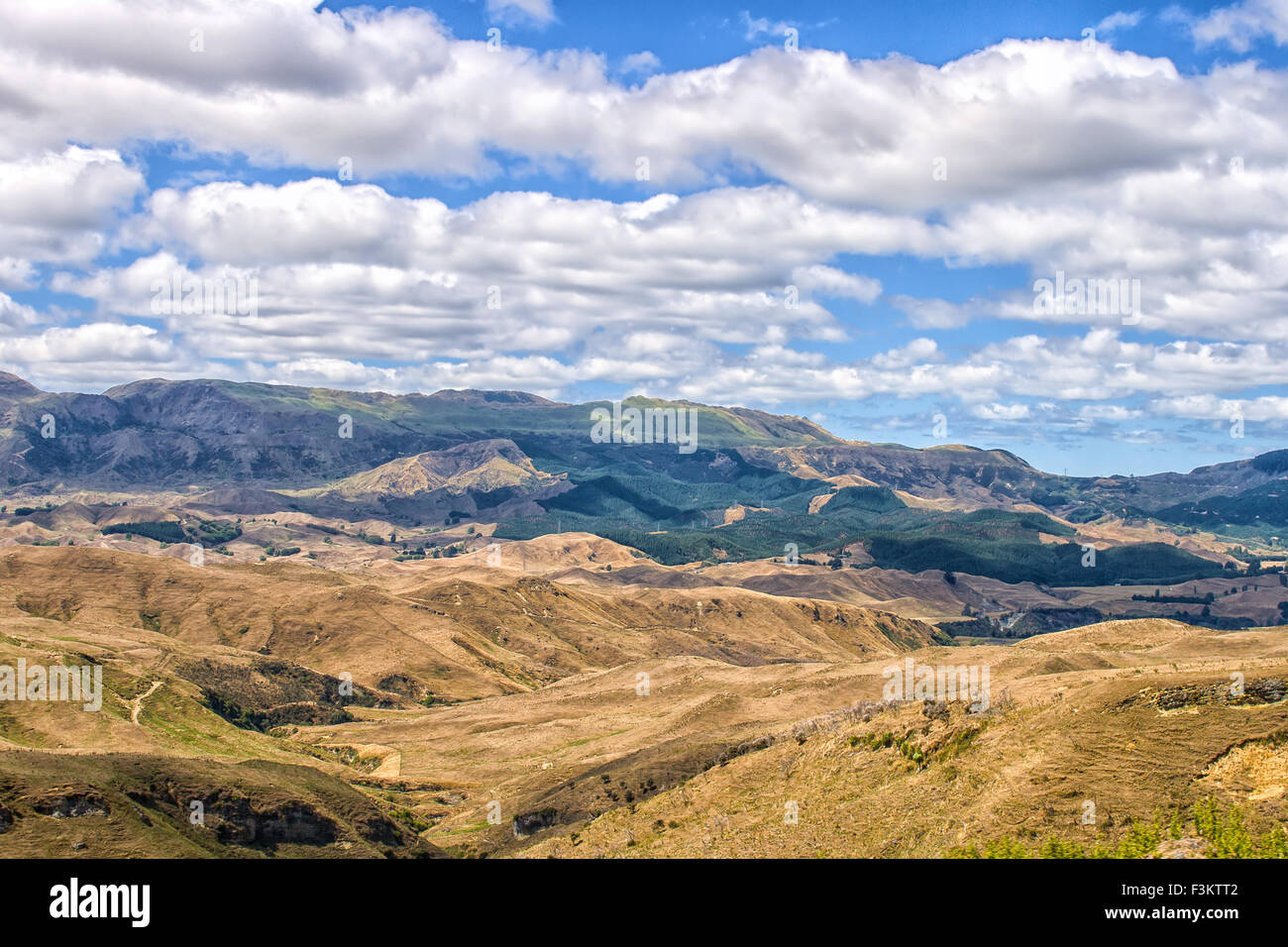 Kahle Berge in Neuseeland Stockfoto