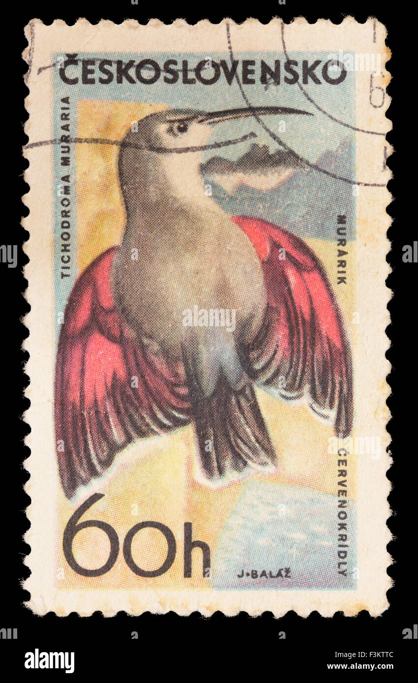 Tschechoslowakei - ca. 1965: Eine Briefmarke gedruckt in Tschechoslowakei zeigt ein Mauerläufer, Tichodroma Muraria Stockfoto