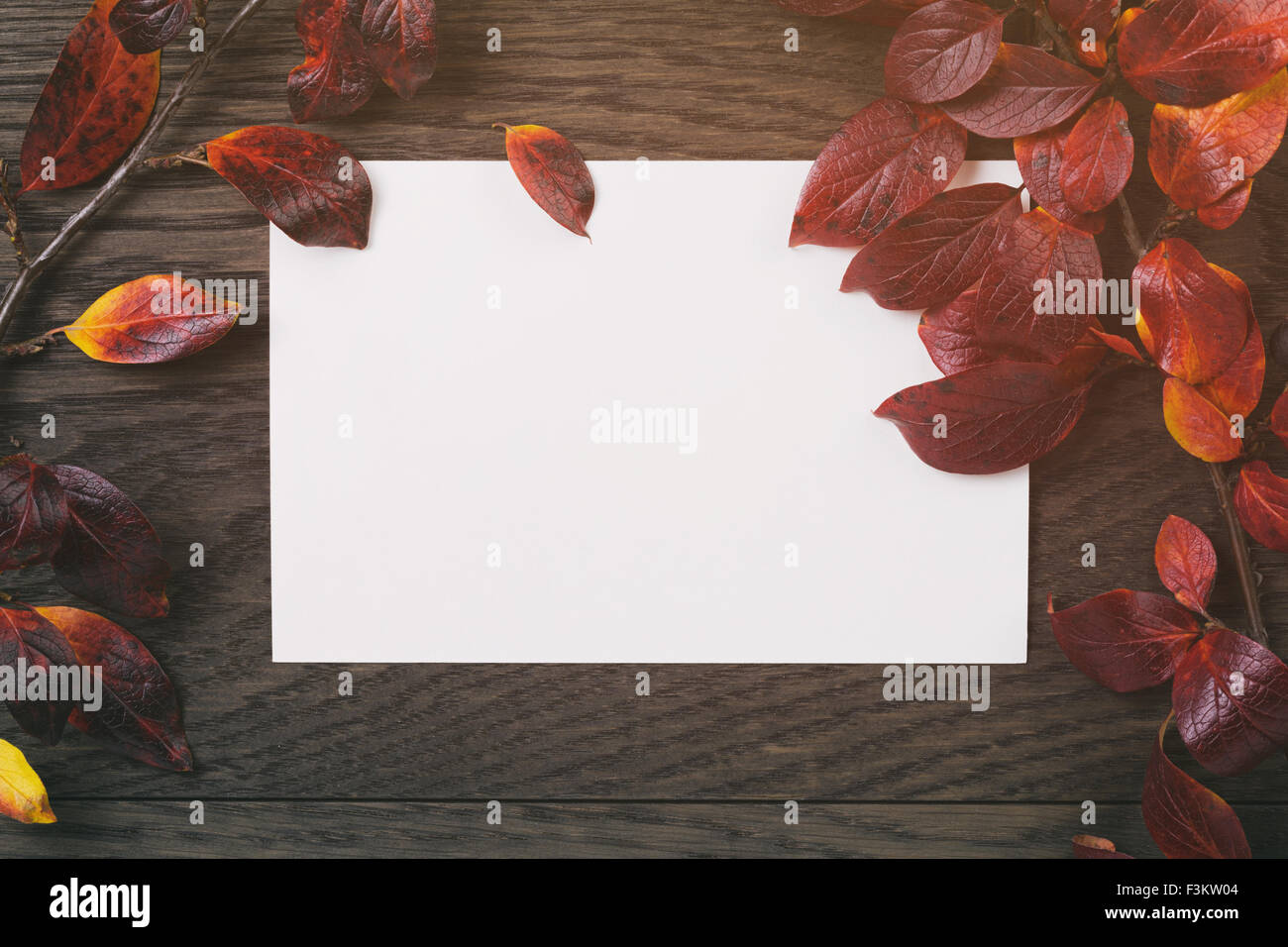 Herbst Hintergrund mit Bush Blätter und Papier-Karte auf alten Tisch Stockfoto