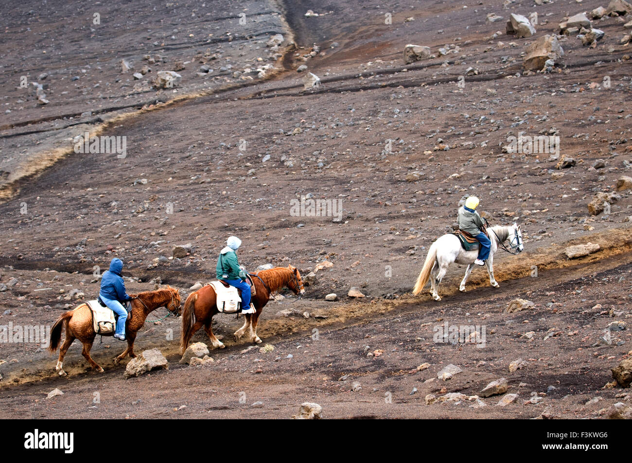 Touristen Reiten im Gipfel der Puu Beispieluhr. Maui. Hawaii. Gipfel der Puu Beispieluhr mit Abflug mehrere Trekings Fuß oder horseb Stockfoto