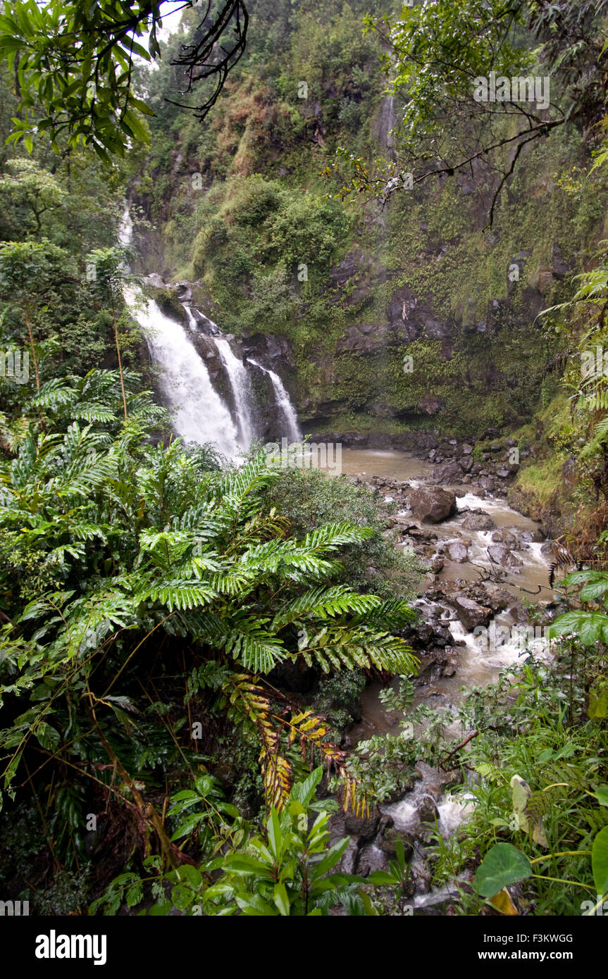Wasserfälle auf dem Weg der Straße nach Hana. Maui. Hawaii. Oheo Pools Gulch Hana Highway Mount Haleakala Maui Hawaii Pacific Ocean. T Stockfoto