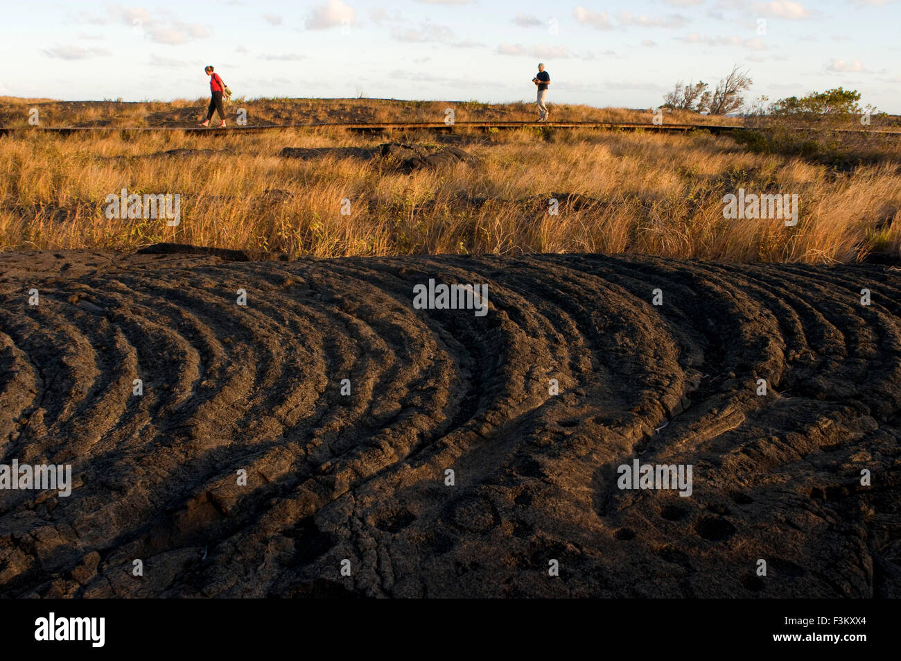 Mauna Loa Petroglyphs. Hawaii Volcanoes National Park. Big Island