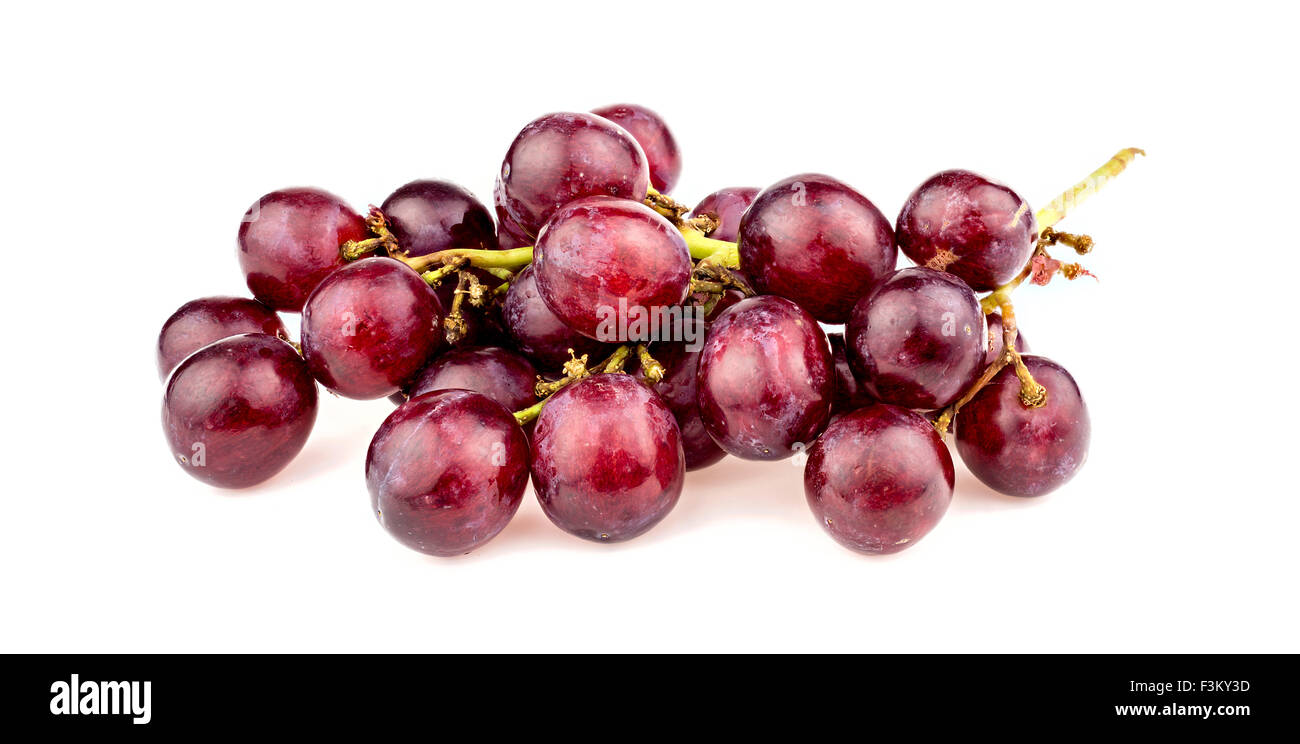 Makro Nahaufnahme von roten Trauben am Rebstock isoliert Stockfoto