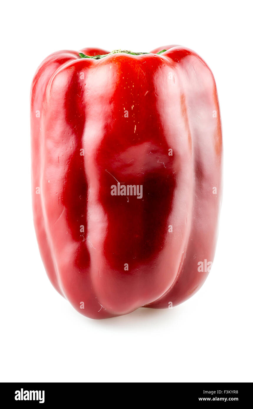 Makro Nahaufnahme rote Chilischote auf weiß Stockfoto