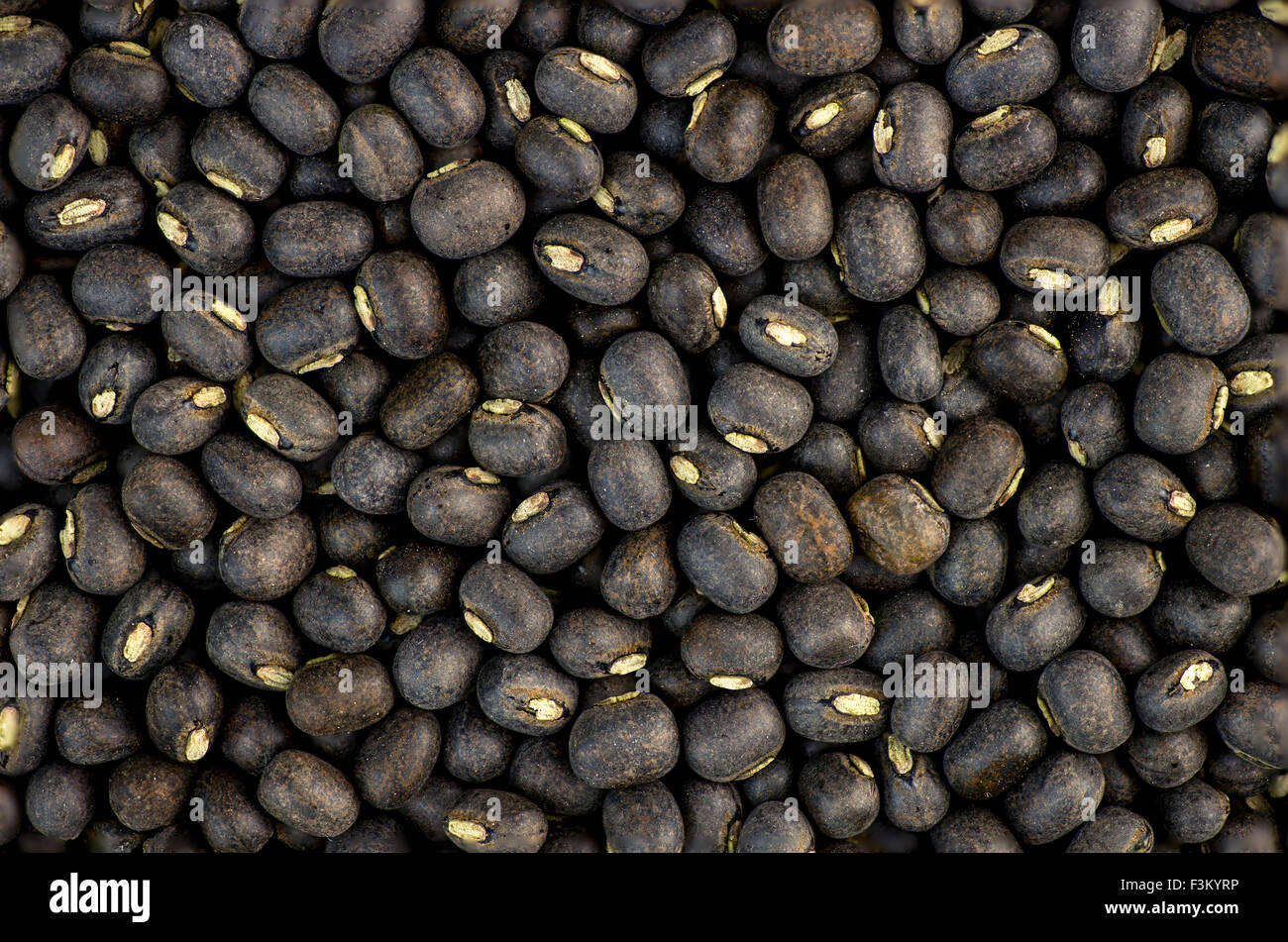 Schwarzen Urad dal Bohne Linsen Stockfoto