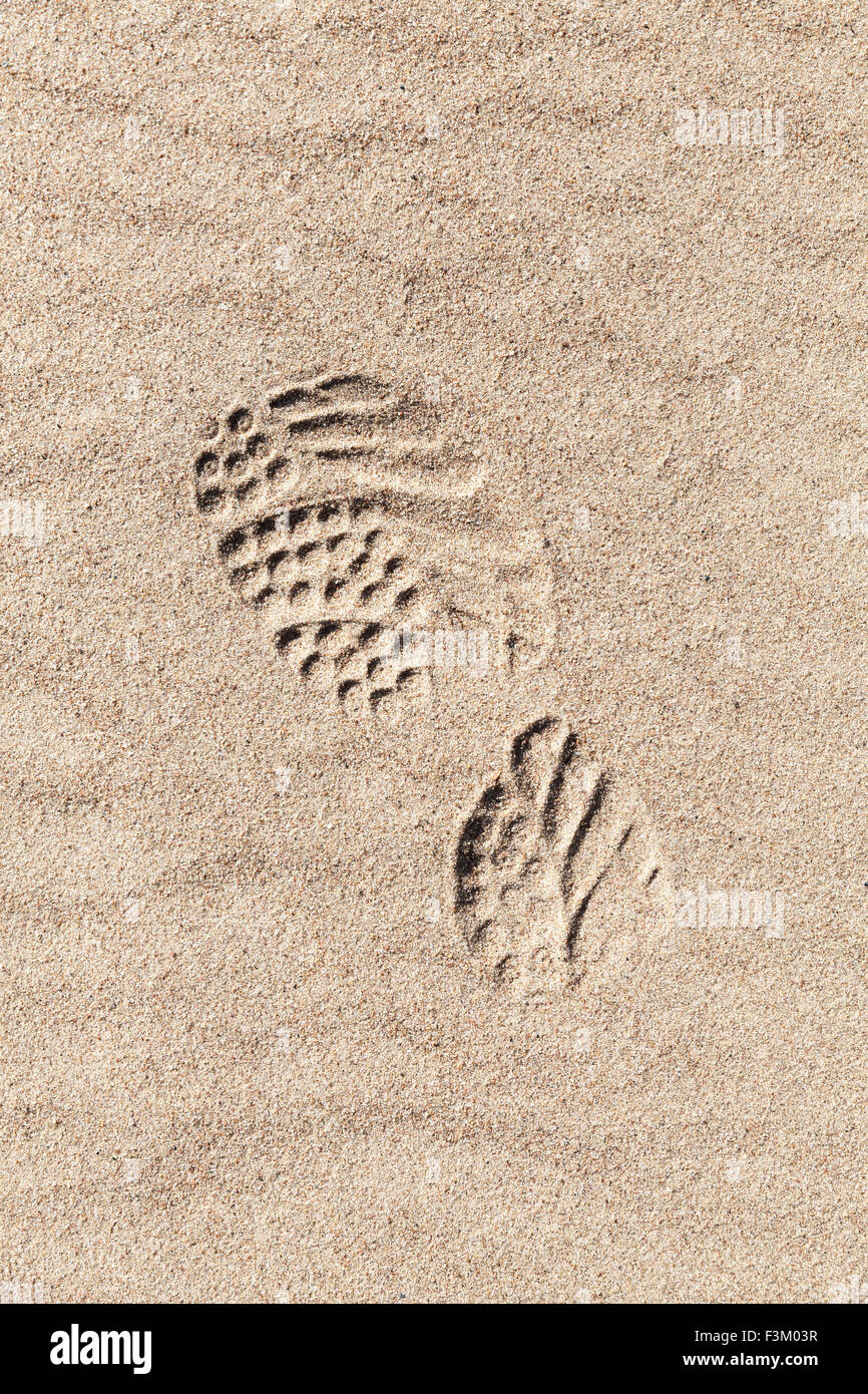 Sport-Schuh-Fußabdruck im Sand am Strand Stockfoto