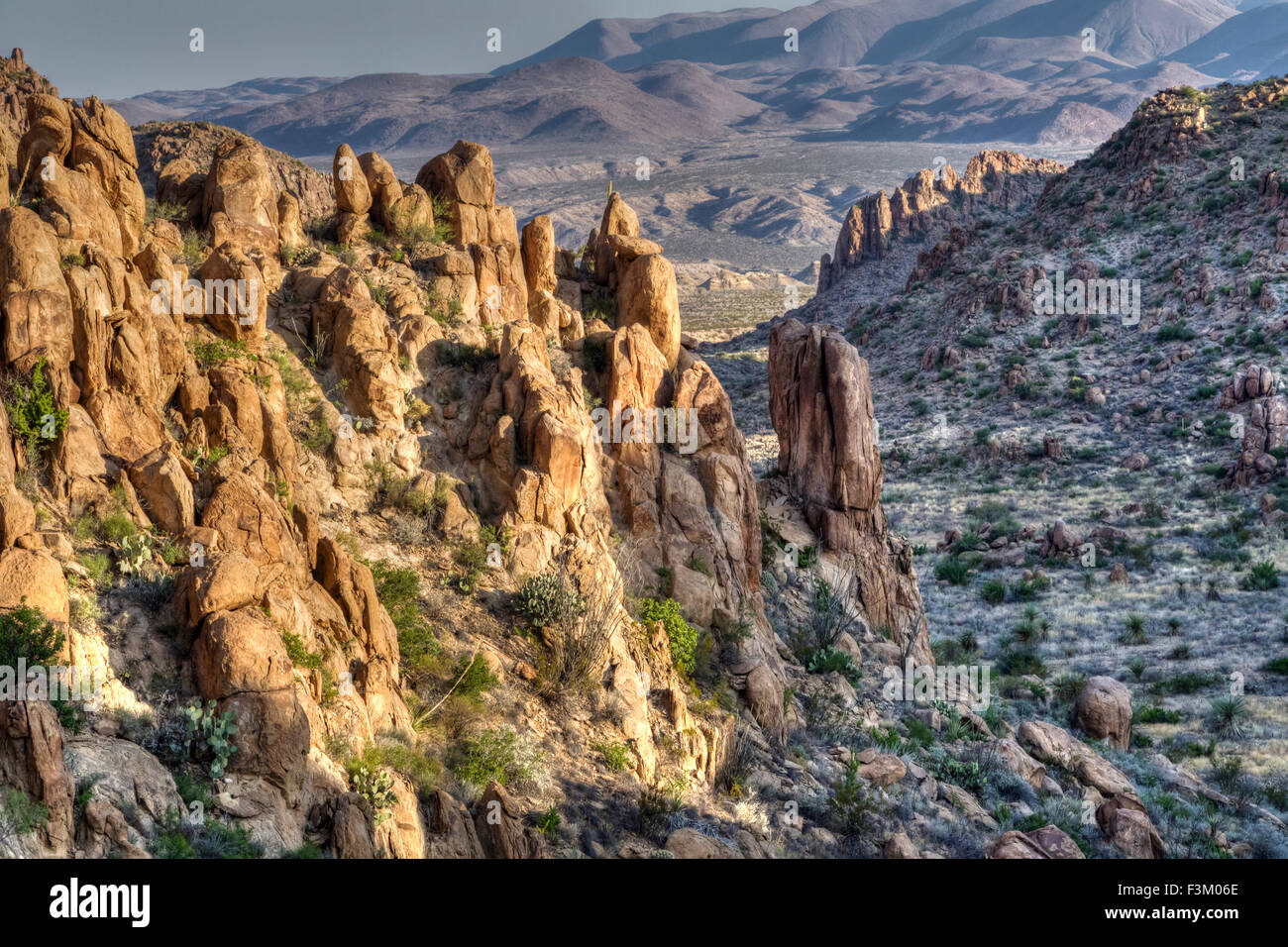 Steinwüste in Big Bend Nationalpark (hoher Dynamikbereich-Technik), Texas, USA Stockfoto