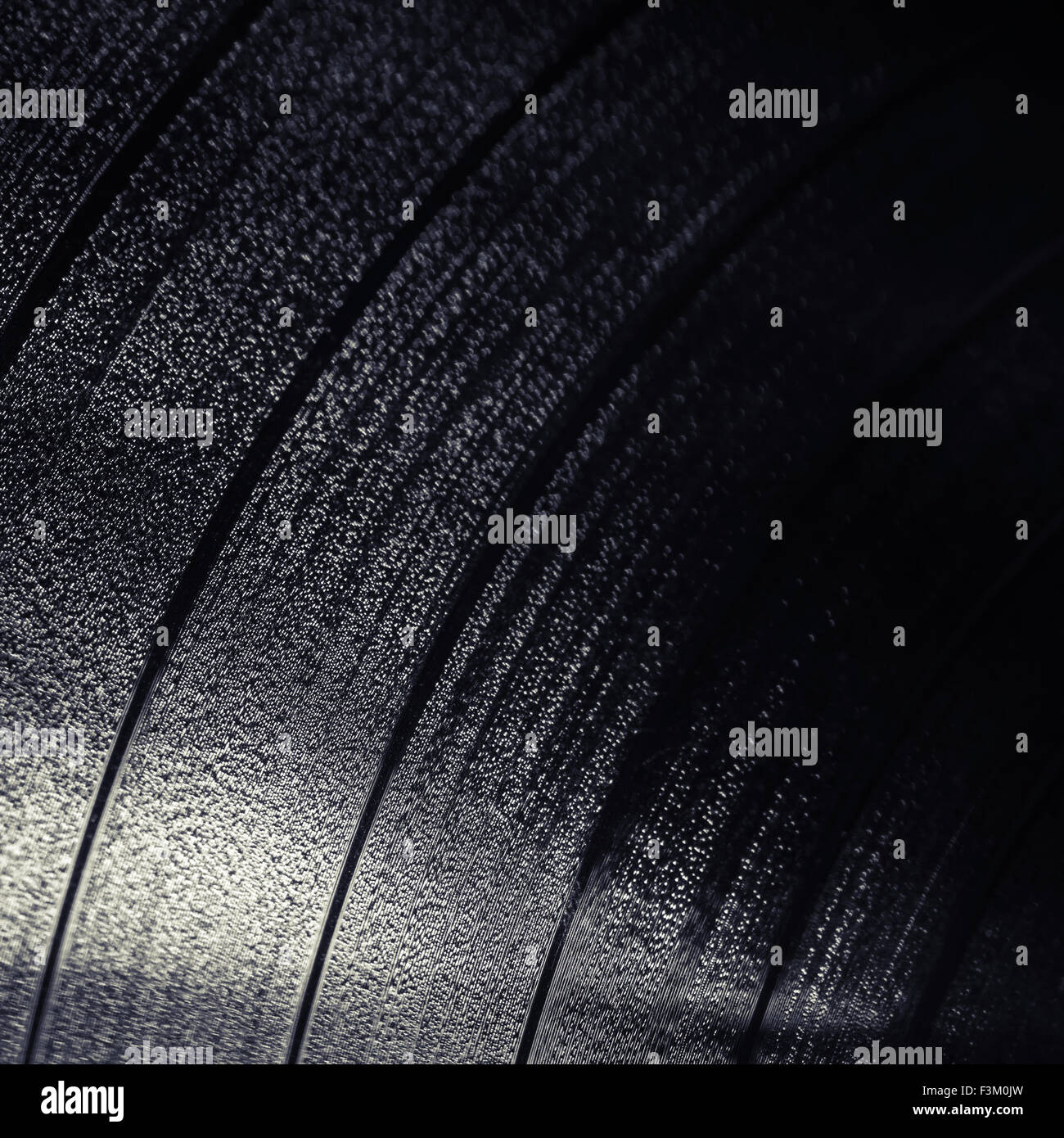 Quadratische Hintergrundtextur schwarzen Vinyl-Schallplatte, selektive flachen DOF konzentrieren Stockfoto