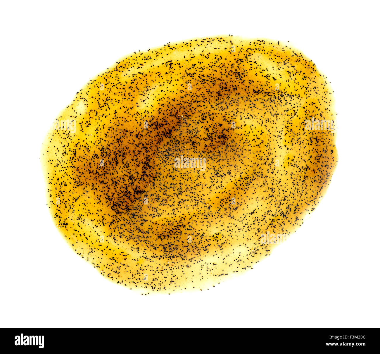 Vanille Paste isoliert gegen weiß Stockfoto