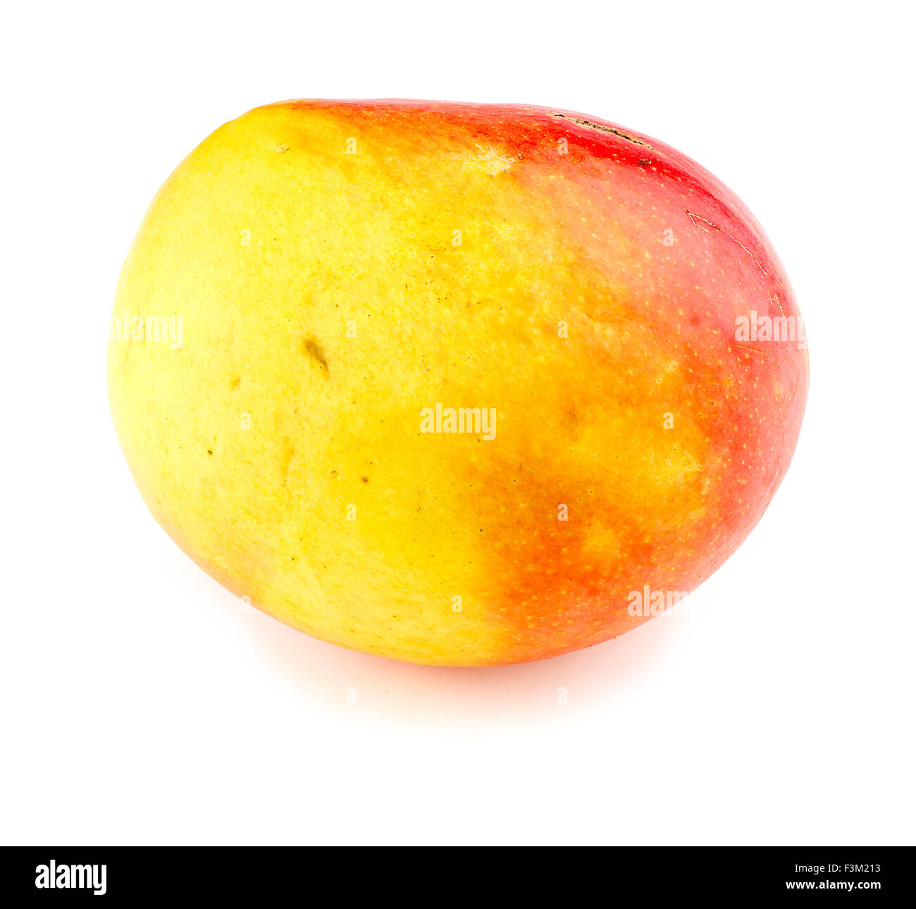 Makro Nahaufnahme von Calypso Mango isoliert Stockfoto