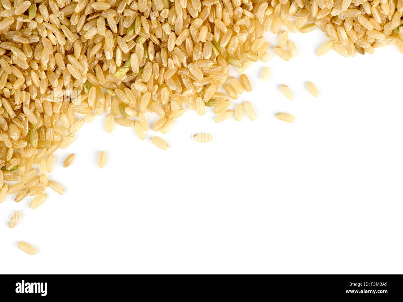 Brauner Reis verstreut gegen weiß mit Exemplar Stockfoto