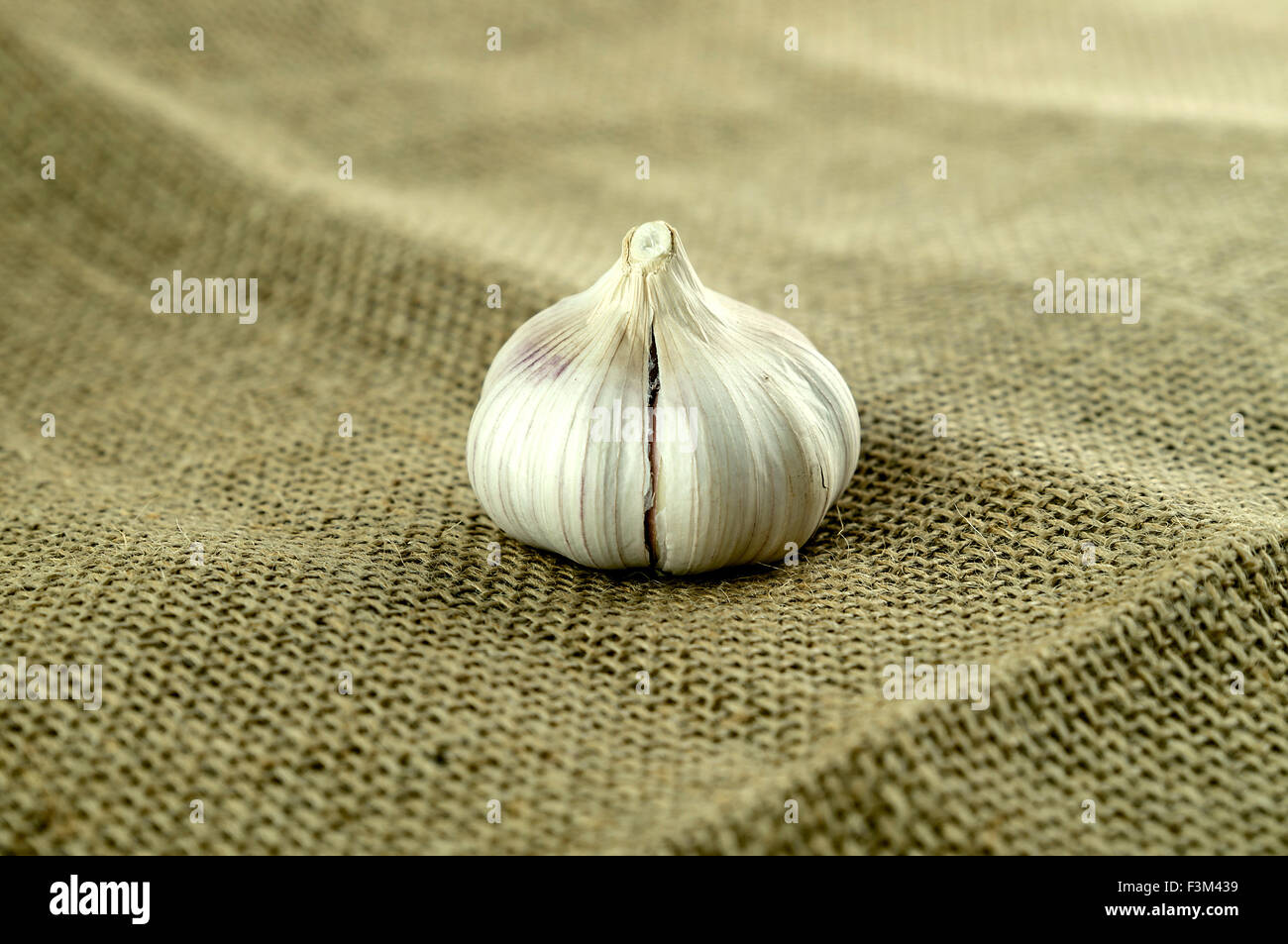 Knoblauchzehe auf Ernte Sackleinen Stockfoto