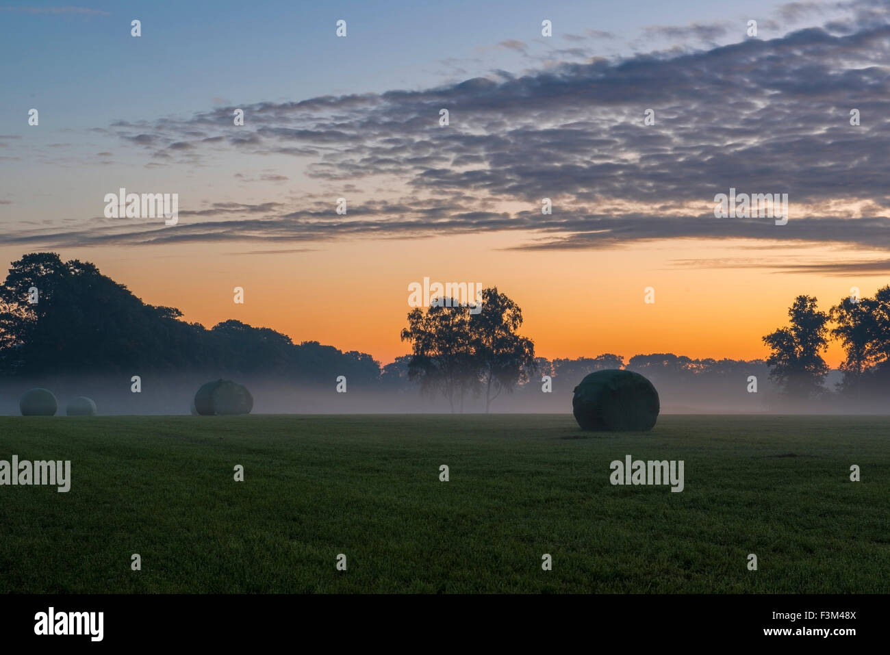 Landwirtschaft, verpackt Rollen Rasen in den frühen Morgenstunden auf einer Wiese in den Niederlanden Stockfoto