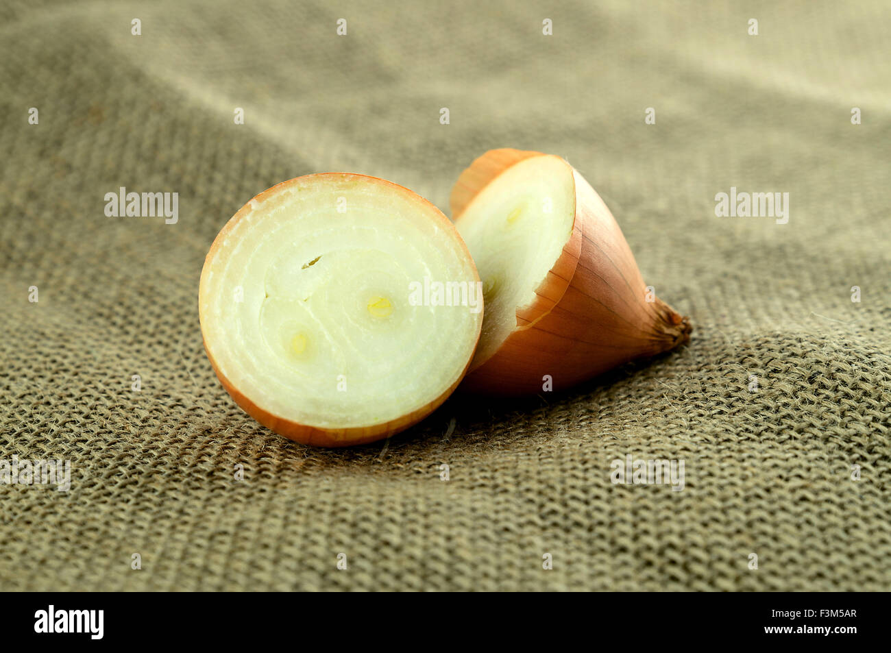 Zwiebel in zwei Hälften geschnitten Stockfoto