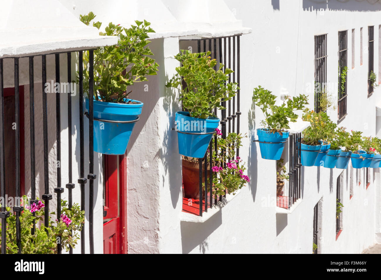 Blaue parfümiertesten gegen weiß getünchten Wänden, Mijas, Andalusien, Spanien Stockfoto