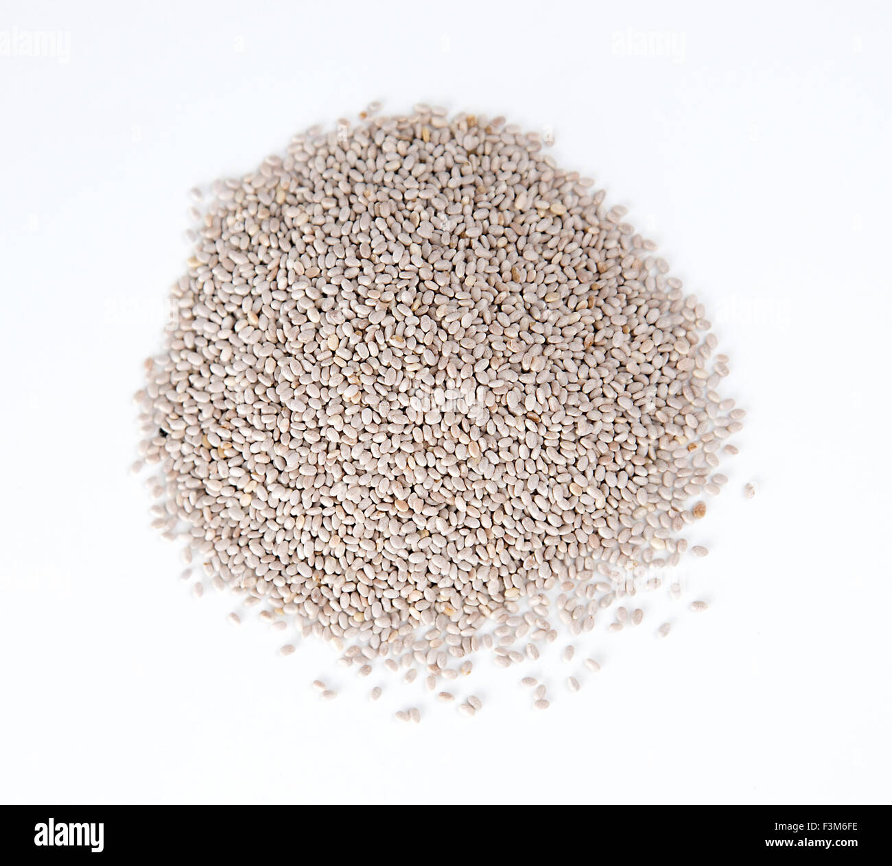 Nahaufnahme von Haufen von Chia-Samen gegen weiß Stockfoto