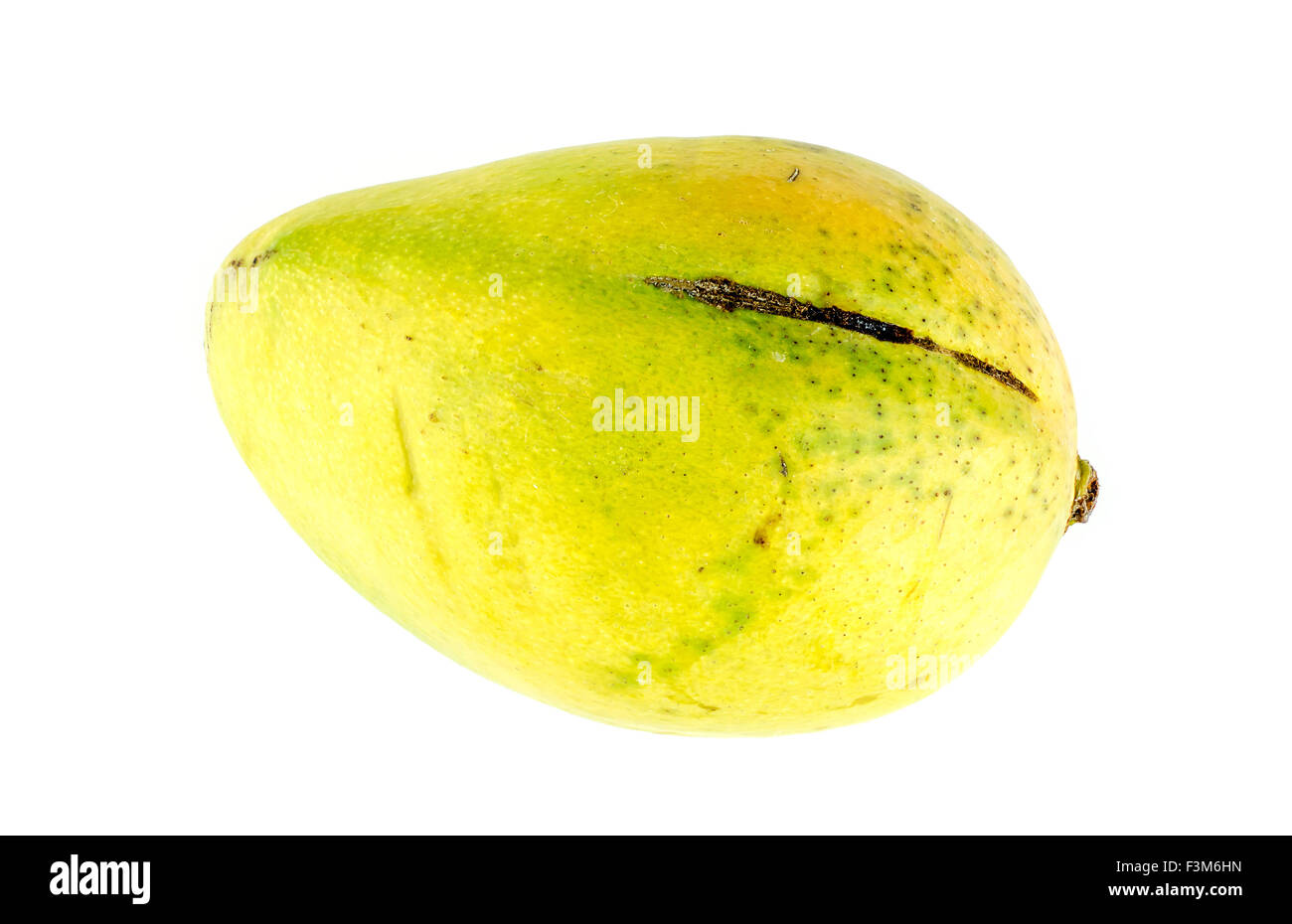 Grünlich gelbe Mango-Frucht isoliert auf weißem Hintergrund Stockfoto