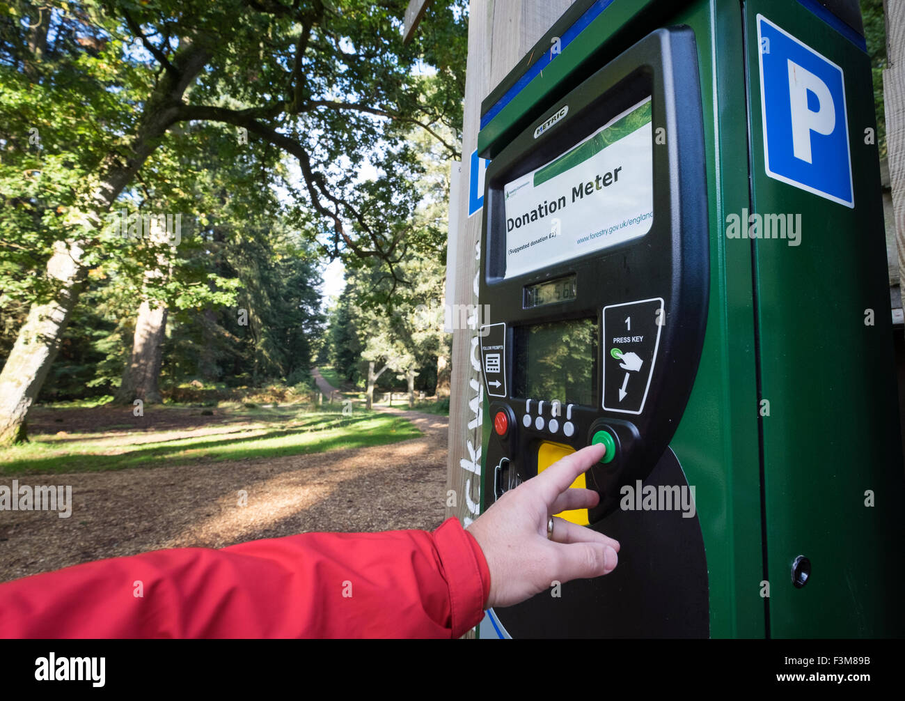 Spende-Automaten im New Forest National Park, Hampshire, UK Stockfoto