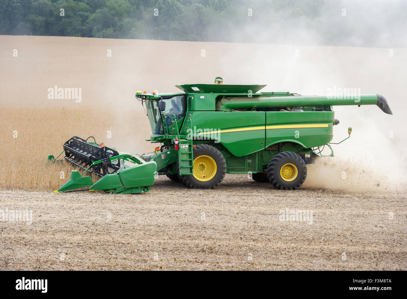 Landwirtschaft, Landwirt, Mähdrescher, Soja Stockfoto