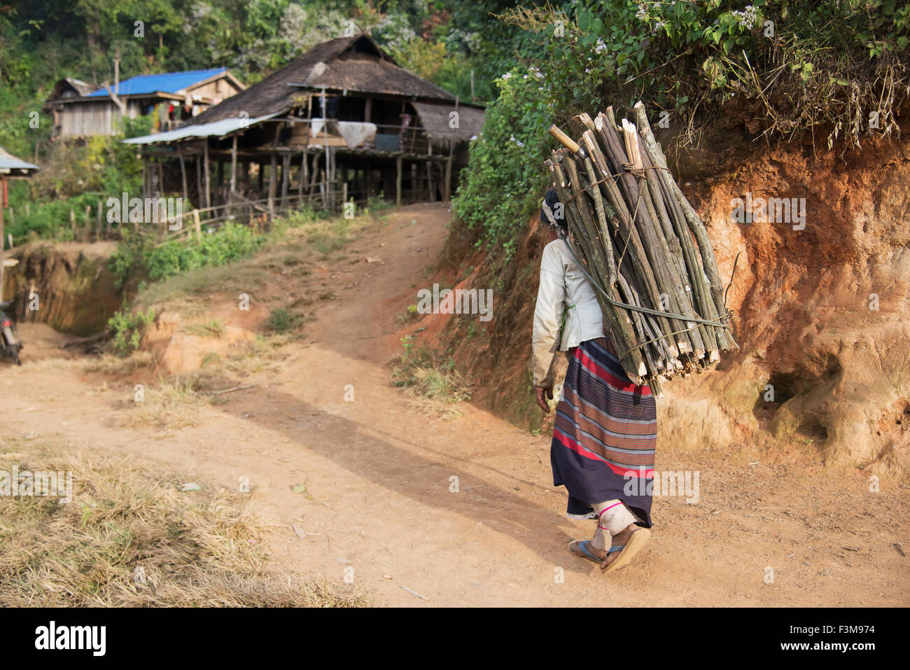 Frauen, Brennholz, tragend, Myanmar Stockfoto