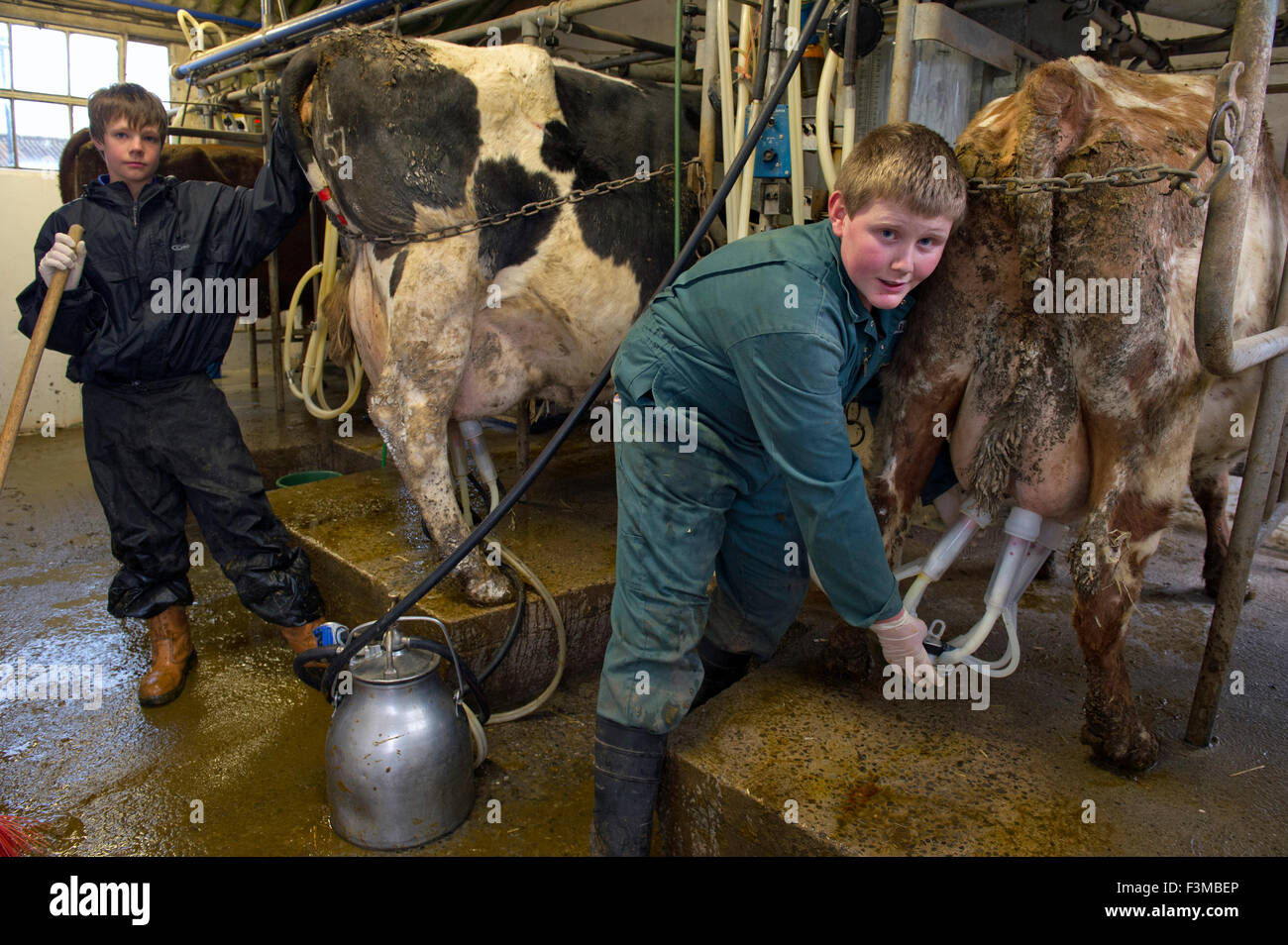 Brymore Academy, einer landwirtschaftlichen Schule lehrt Ackerbau und andere landwirtschaftliche Fähigkeiten und haben eigene Molkerei, Rinder, Schweine und sheep.a UK Stockfoto