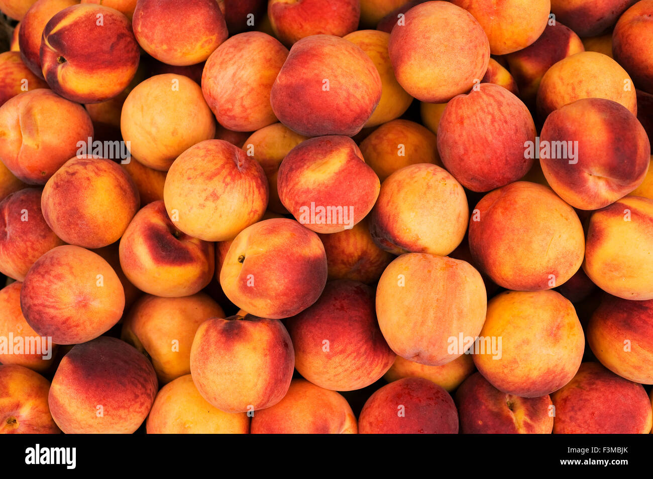 Erste, Licht, Farbbild Farbbilder Stockfoto