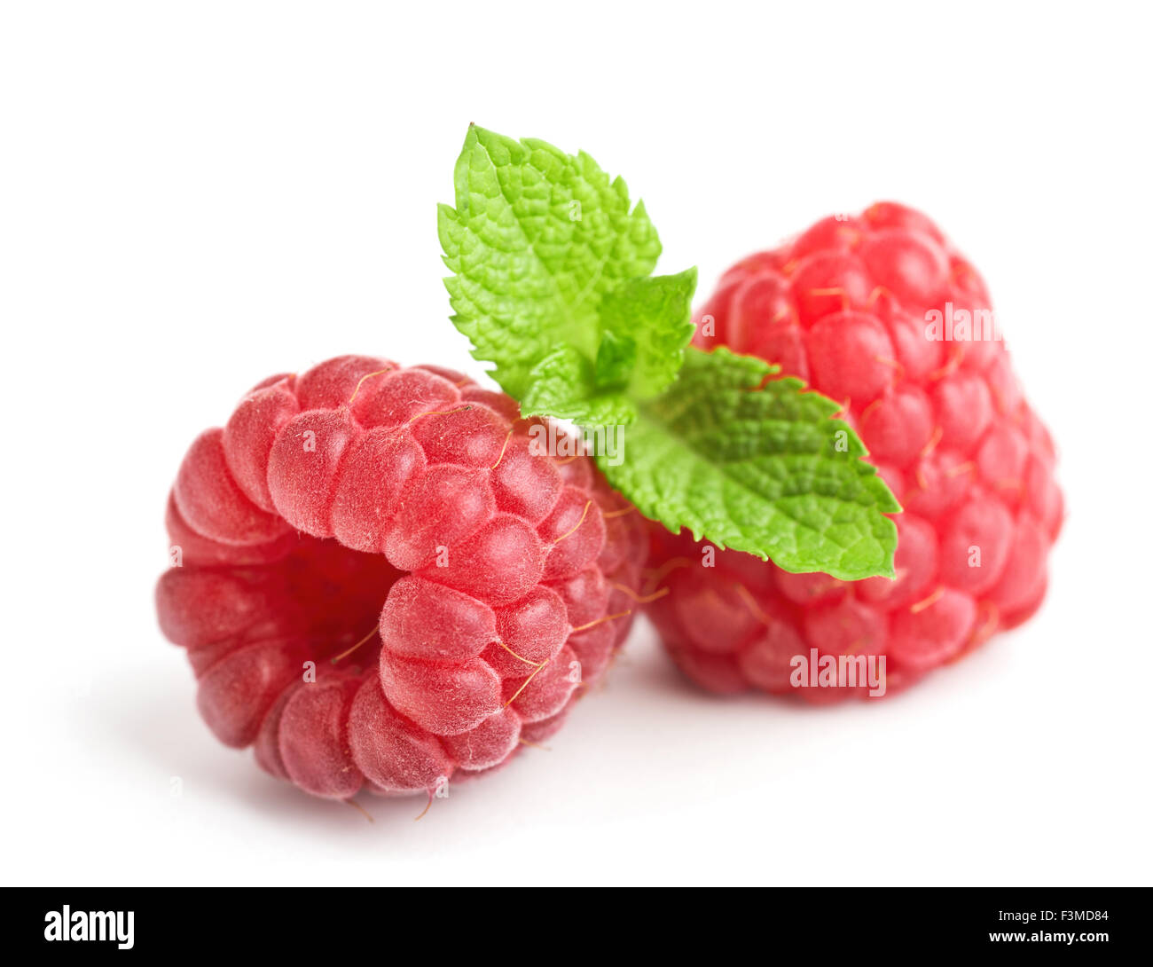 frische reife Himbeeren mit Minze Blätter isoliert auf weiss Stockfoto