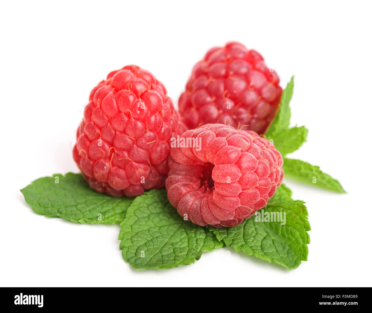 frische reife Himbeeren mit Minze Blätter isoliert auf weiss Stockfoto
