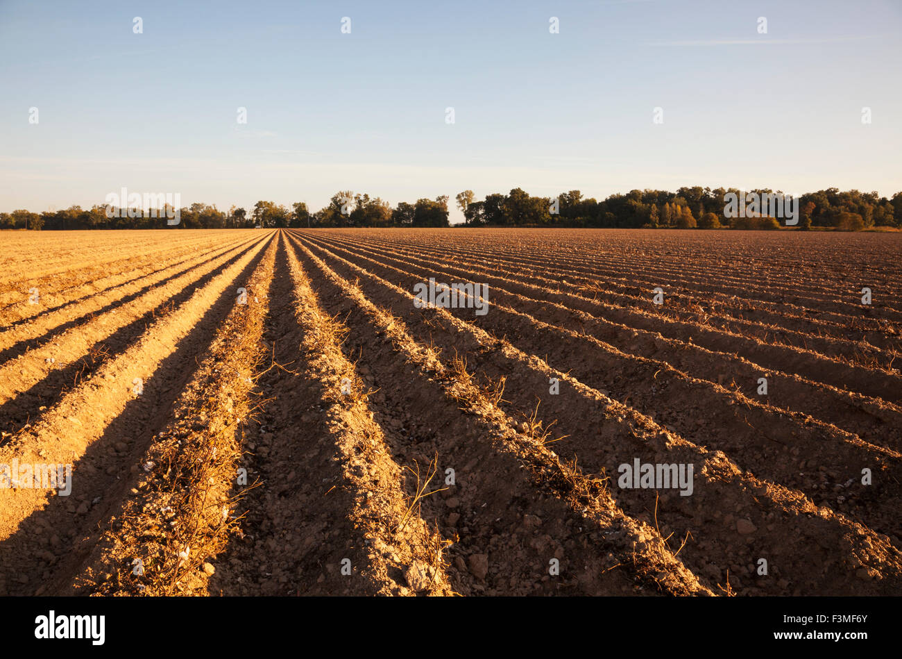 Anbau, Boden, Furche, Feld, Bauernhof, Arkansas Stockfoto